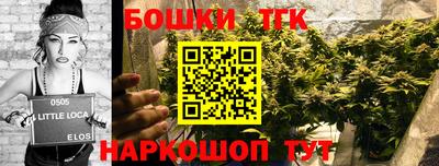стаф Краснознаменск