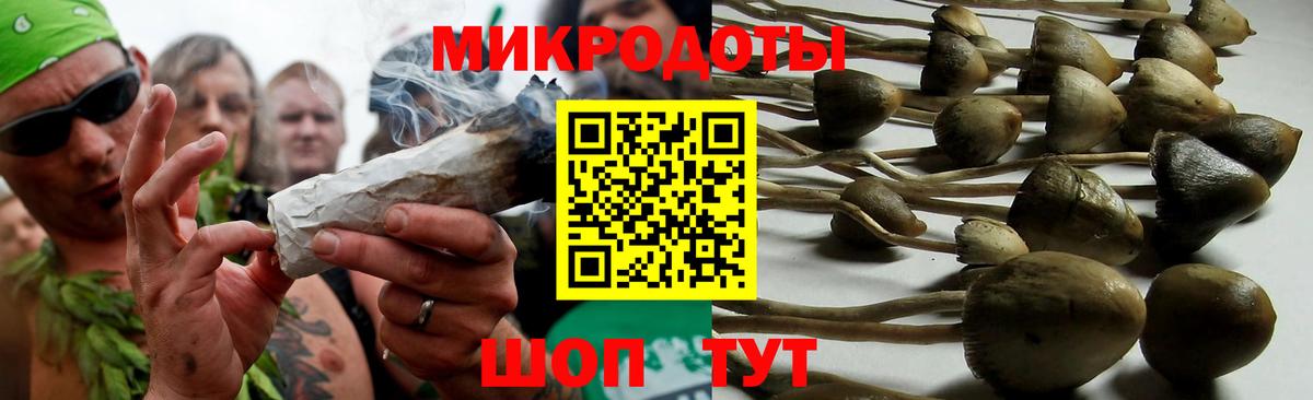 Дальнереченск  Псилоцибиновые грибы GOLDEN TEACHER  Вход с VPN  Галлюциногенные грибы Psilocybine cubensis 